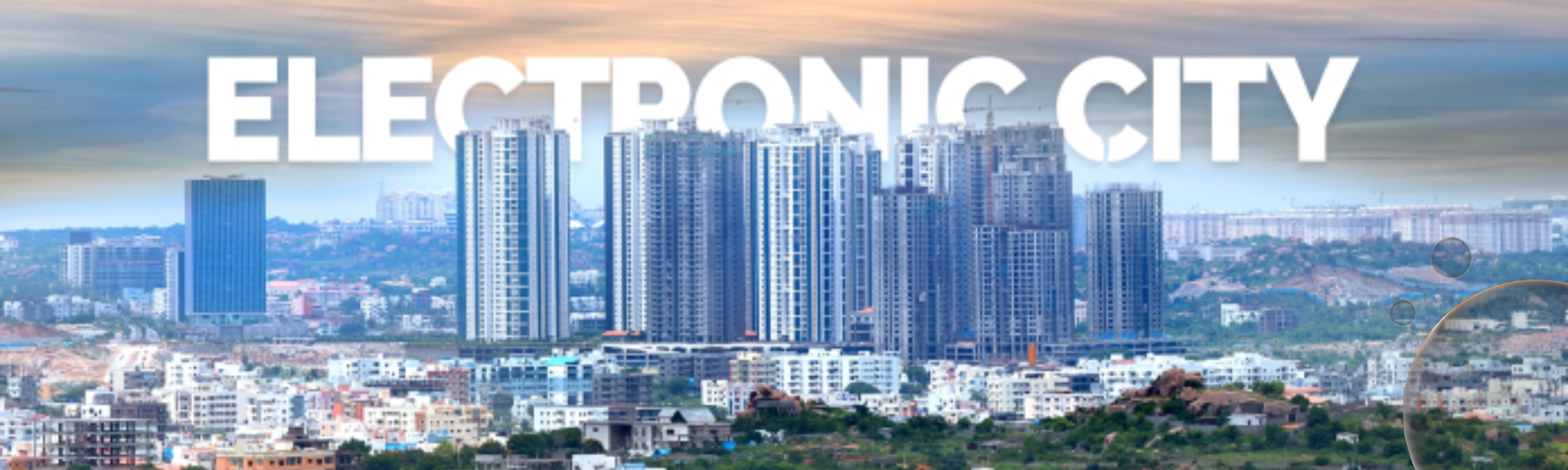 Faridabad Electronic City - Business Hub