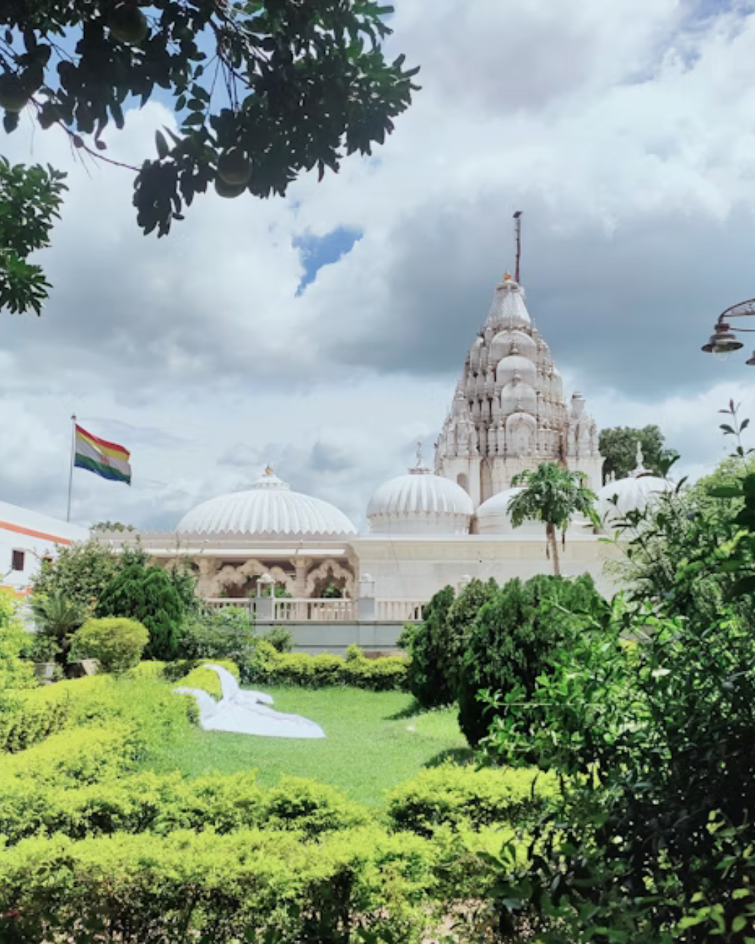 Young woman working diligently on a laptop